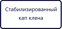 Стабилизированный кап клёна (11)