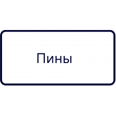 Пины